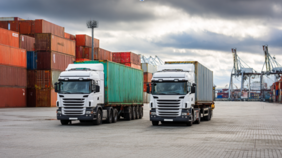 Потемкина Ксения