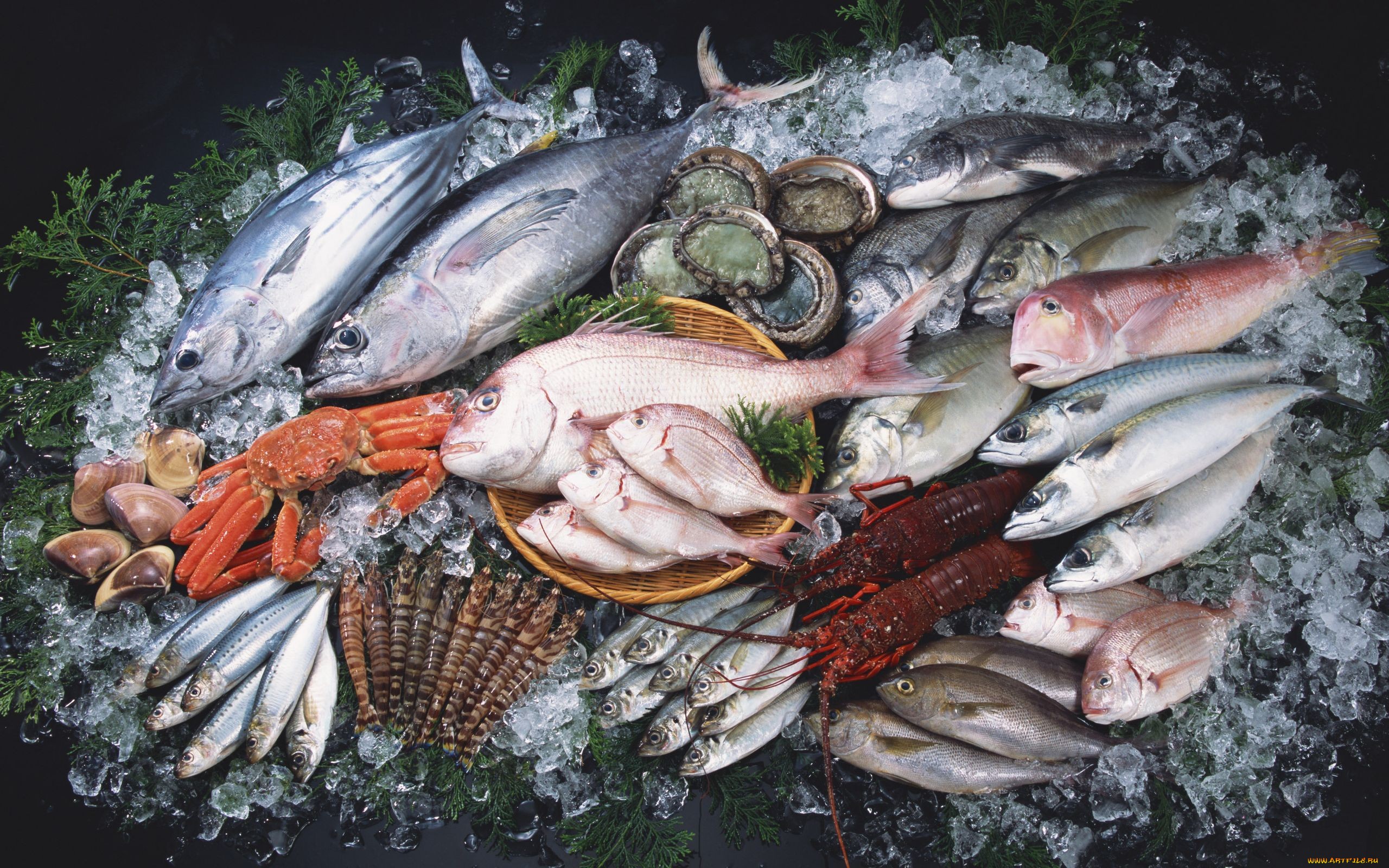 1 сентября 2017 вступит в силу ТР ТС «О безопасности рыбы и рыбной продукции» фото