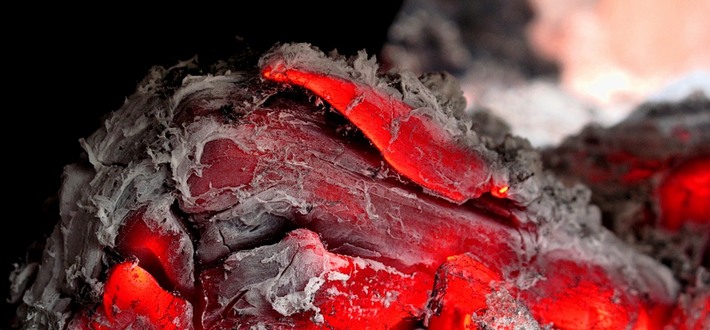 Сертификация древесного угля Сертификация древесного угля