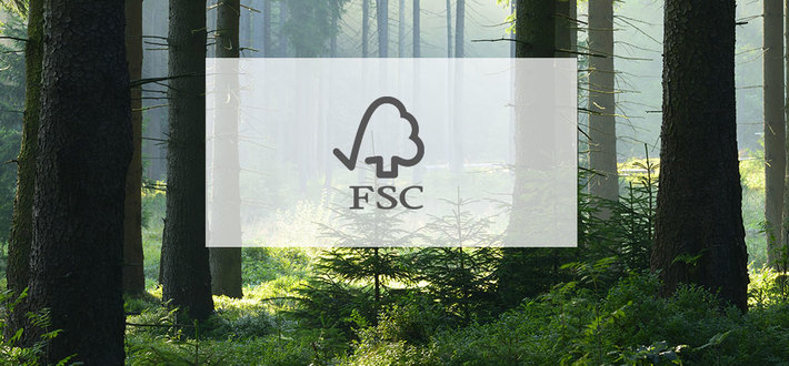Сертификат FSC фото