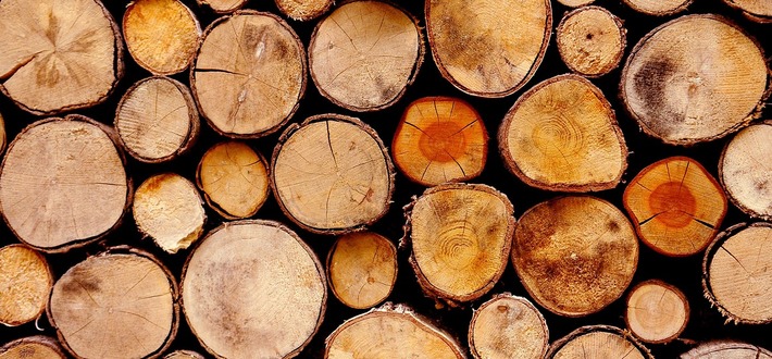ОКПД 2 древесина, порядок классификации и сертификации фото