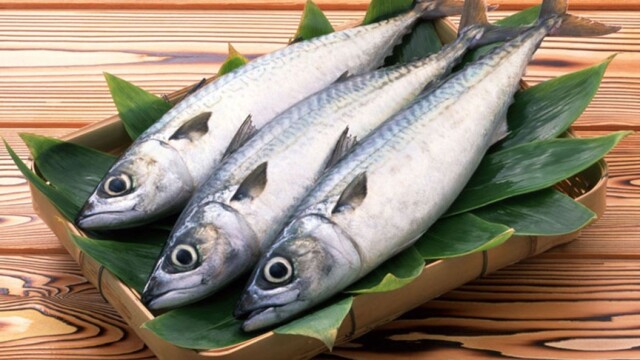 Решение ЕЭК о переходном периоде к новому техническому регламенту по рыбе фото