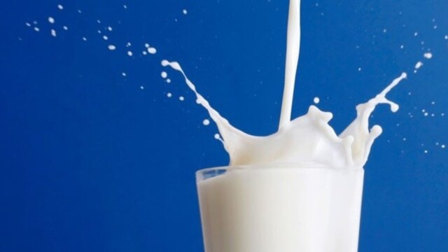 Сертификация молочной сыворотки фото