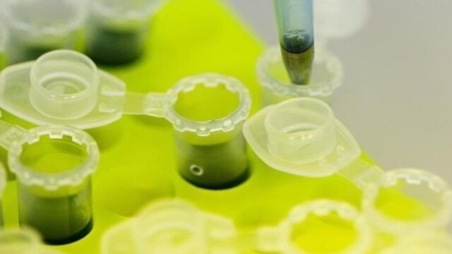 Разработка паспорта безопасности MSDS фото