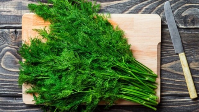 Декларация на укроп фото