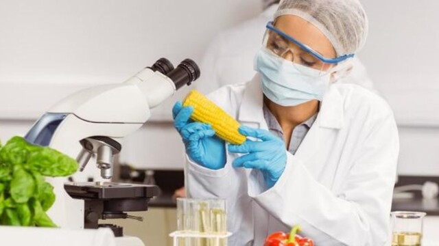 На обсуждение вынесена новая Программа по разработке и актуализации стандартов для «пищевого» ТР ТС фото