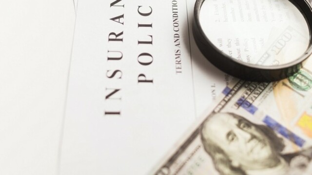 Регистрационное удостоверение на ветеринарные препараты фото