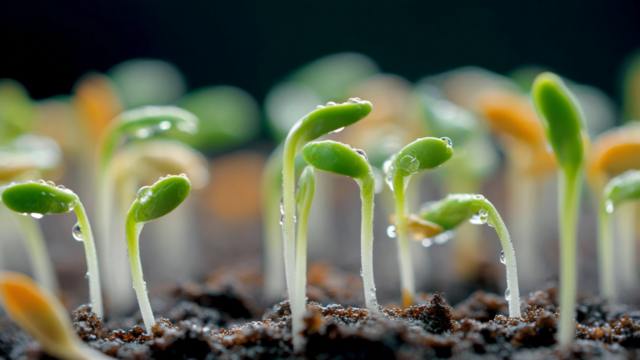 Пестициды под полным контролем: что изменится и можно ли работать без ФГИС фото