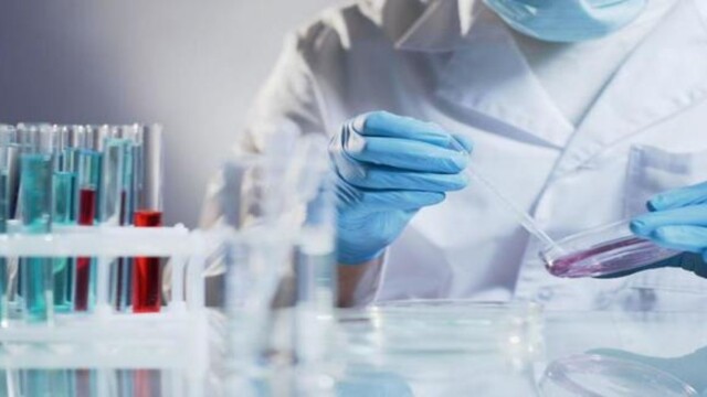 Получение экспертного заключения фото